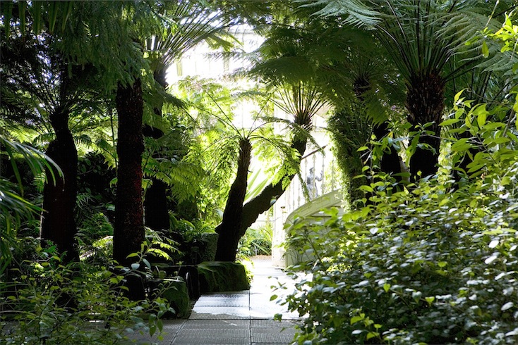Inside the glasshouse at Kew Inside the glasshouse at Kew