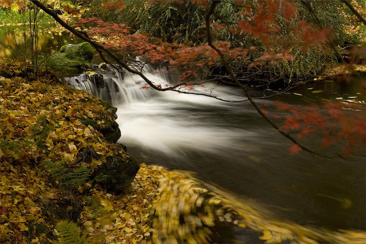 Autumn at Stobo water gardens, Scottish Borders Autumn at Stobo water gardens, Scottish Borders