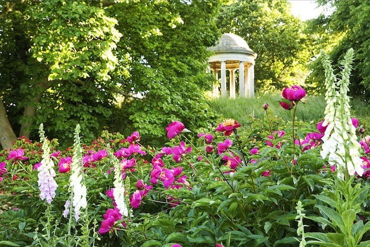 Peonies and foxgloves beneath the Temple of Aeolus, Kew Gardens. This image was a prizewinner in the International Garden Photographer of the Year competition. Peonies and foxgloves beneath the Temple of Aeolus, Kew Gardens. This image was a prizewinner in the International Garden Photographer of the Year competition.