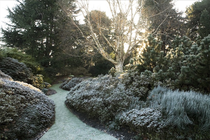 Frosty scene at the Royal Botanic Gardens, Edinburgh Frosty scene at the Royal Botanic Gardens, Edinburgh
