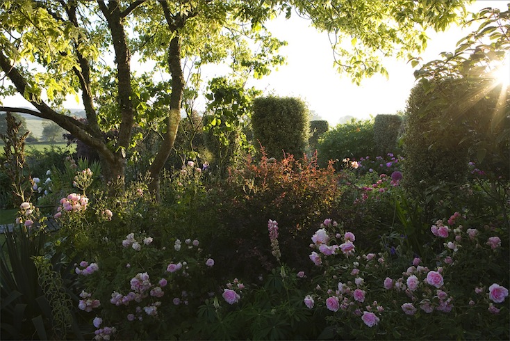 Sandhill Farm House garden, home of renowned garden designer Rosemary Alexander Sandhill Farm House garden, home of renowned garden designer Rosemary Alexander